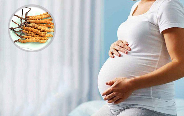phụ nữ trong thai kỳ và cho con bú dùng đông trùng hạ thảo