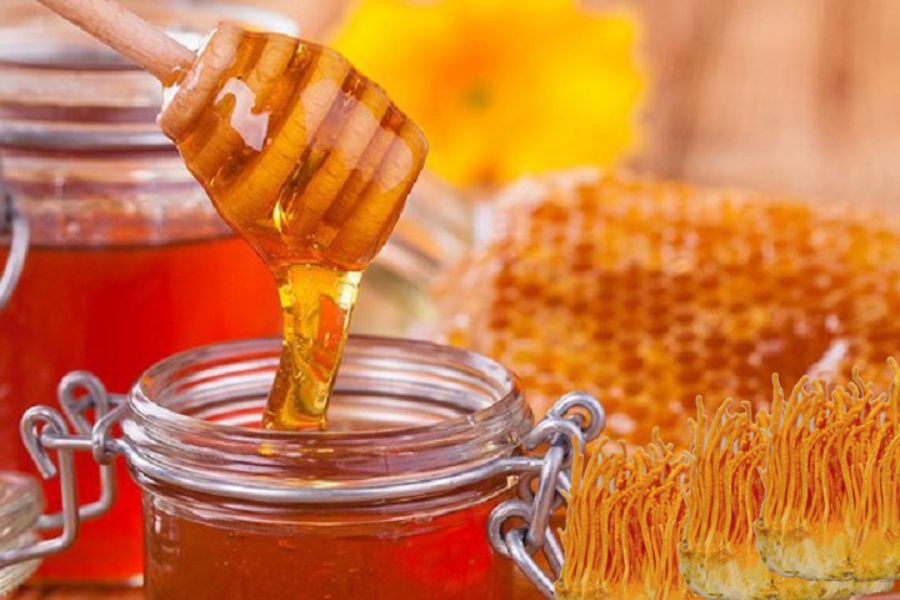 đông trùng hạ thảo ngâm mật ong để được bao lâu