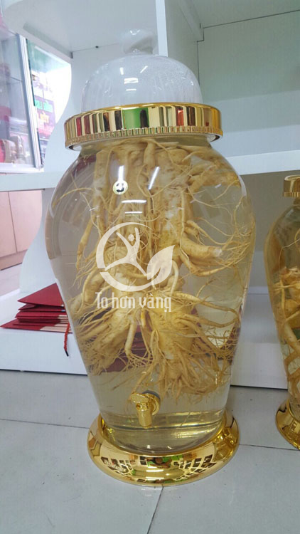 Hình ảnh bình rượu sâm 4 củ 25 lít tại Nhân Sâm Việt Hàn Hình ảnh bình rượu sâm 4 củ 25 lít tại Nhân Sâm Việt Hàn
