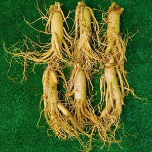 Sâm tươi Hàn Quốc 6 củ 1 Kg loại 1