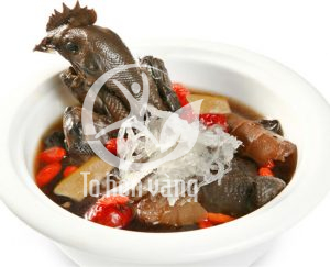 Canh gà hâm sâm bồi bổ sức khỏe cho người già
