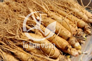 Nhân sâm Hàn Quốc là thực phẩm làm ổn định huyết áp hiệu quả