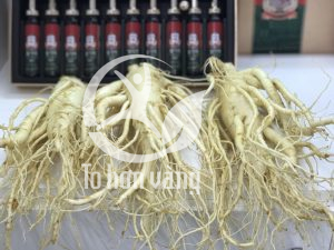 Saponin là thnahf phần dinh dưỡng quan trọng của nhân sâm có tác dụng bồi bổ sức khỏe hiệu quả