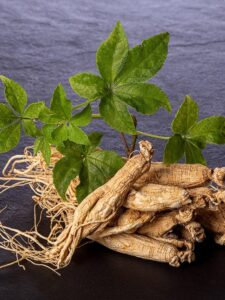 bán sâm tươi Hàn Quốc tại Hà Nội đa dạng chủng loại