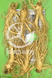 Thành phần chủ yếu và quý giá nhất trong sâm tươi Hàn Quốc đó là Saponin với nhiều công dụng khác nhau trong chăm sóc sức khỏe