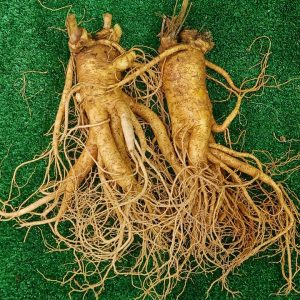 sam-tuoi-han-quoc-2-cu-700-gram-sam-loai-1