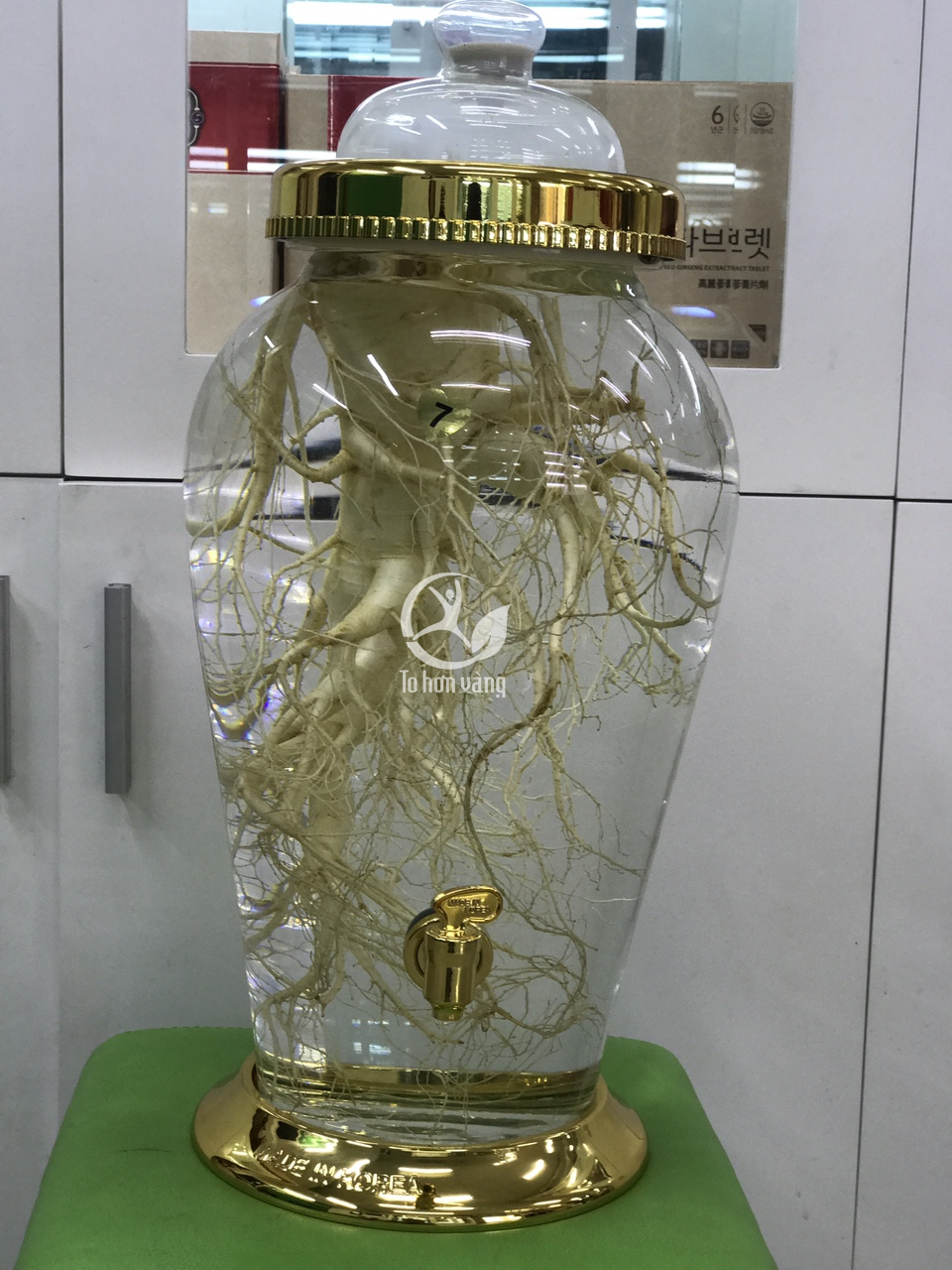 Sâm tươi loại 2 củ 700 gram rất phù hợp để làm rượu sâm Sâm tươi loại 2 củ 700 gram rất phù hợp để làm rượu sâm