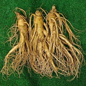 Sâm tươi Hàn Quốc 3 củ 700 gram