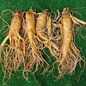 Sâm tươi Hàn Quốc 4 củ 700 gram