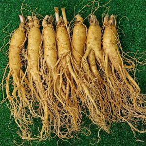 sam-tuoi-han-quoc-7-cu-700-gram-sam-loai-1