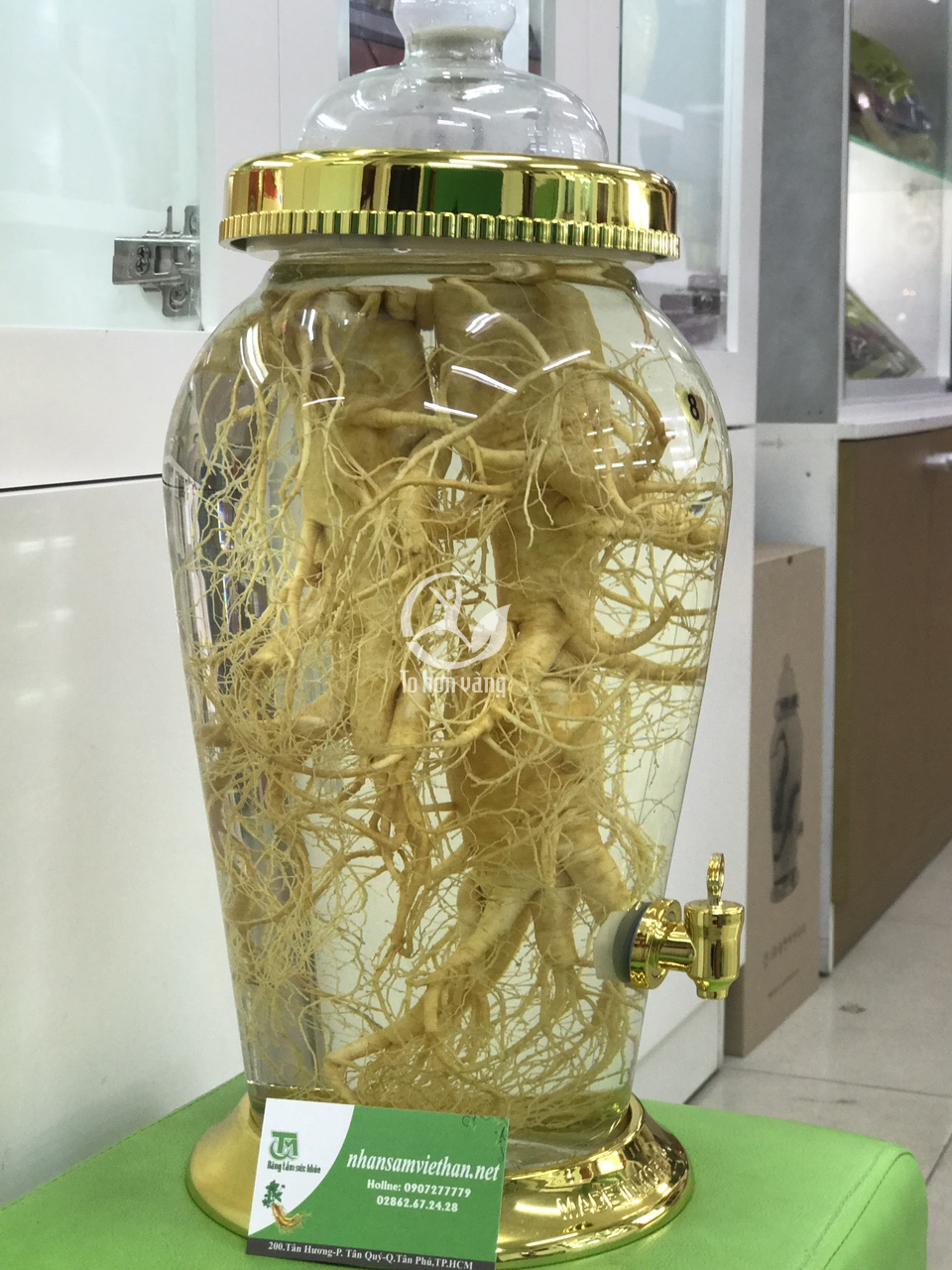 Bình rượu sâm tươi 700 gram 3 củ Bình rượu sâm tươi 700 gram 3 củ