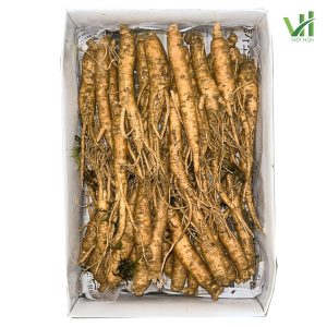 Sâm tươi Hàn Quốc 14 củ 700 gram loại 1 - Còn nguyên lớp đất