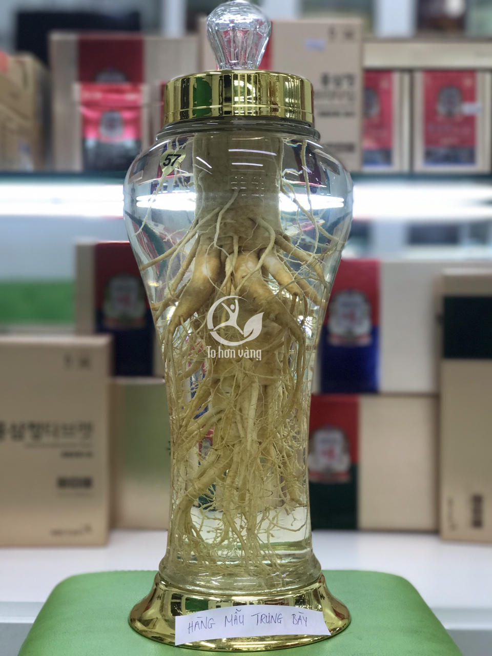 Khi ngâm sâm, cần chú ý chỉnh sửa hình dáng củ sâm sao cho đẹp mắt và phù hợp Khi ngâm sâm, cần chú ý chỉnh sửa hình dáng củ sâm sao cho đẹp mắt và phù hợp