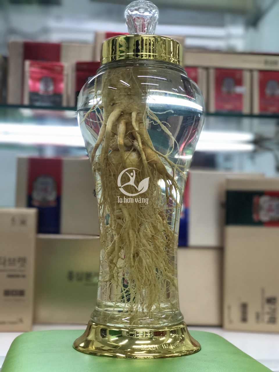 Rượu sâm tươi Hàn Quốc có tác dụng tăng cường sức khỏe, sinh lí và cải thiện trí nhớ hiệu quả Rượu sâm tươi Hàn Quốc có tác dụng tăng cường sức khỏe, sinh lí và cải thiện trí nhớ hiệu quả