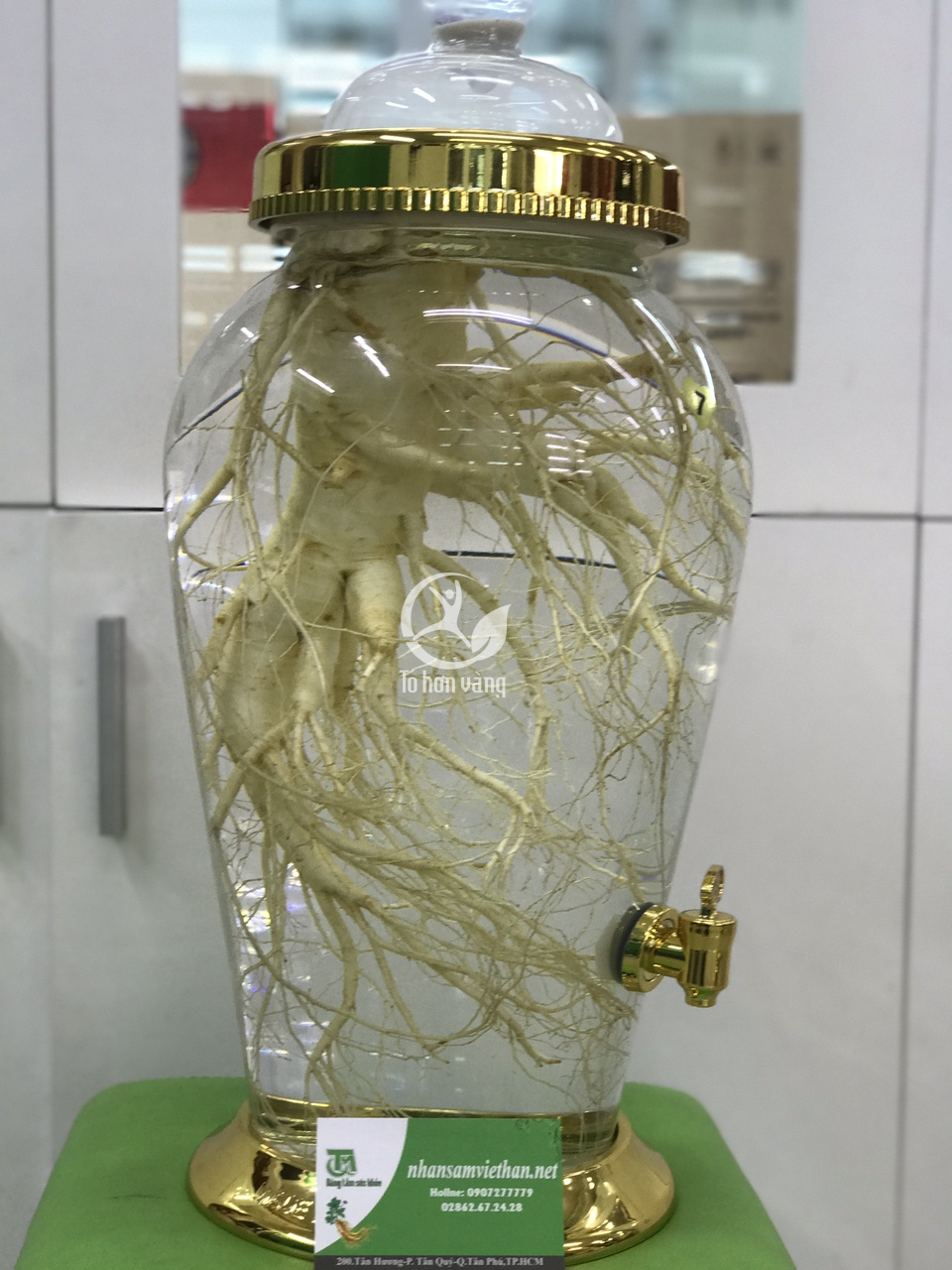 Những người có tình trạng rối loạn cương dương, không có khả năng hay khả năng yếu trong quan hệ vợ chồng nên sử dụng rượu sâm tươi mỗi ngày để cải thiện tình trạng ham muốn. Những người có tình trạng rối loạn cương dương, không có khả năng hay khả năng yếu trong quan hệ vợ chồng nên sử dụng rượu sâm tươi mỗi ngày để cải thiện tình trạng ham muốn.