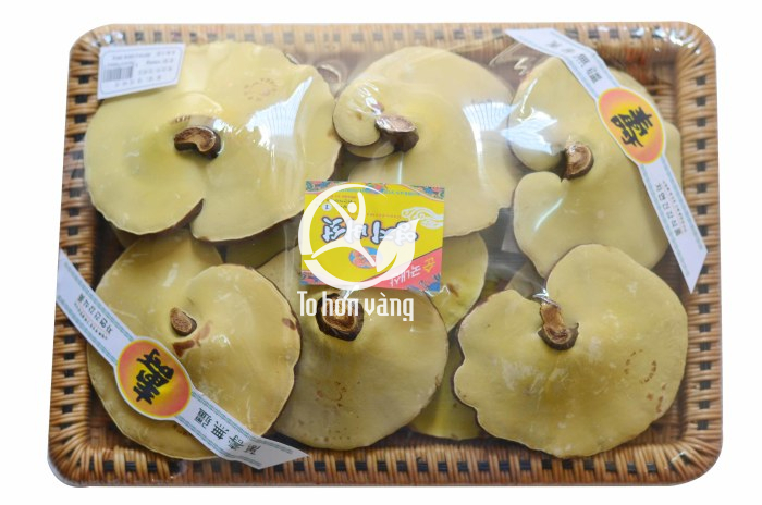 Nấm linh chi rất thích hợp để dành tặng cho những người lớn tuổi vì nó rất tốt cho sức khỏe Nấm linh chi rất thích hợp để dành tặng cho những người lớn tuổi vì nó rất tốt cho sức khỏe