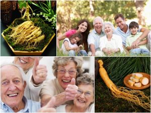 co-nen-uong-nuoc-hong-sam-moi-ngay-khong