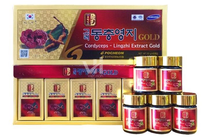 cao-dong-trung-ha-thao