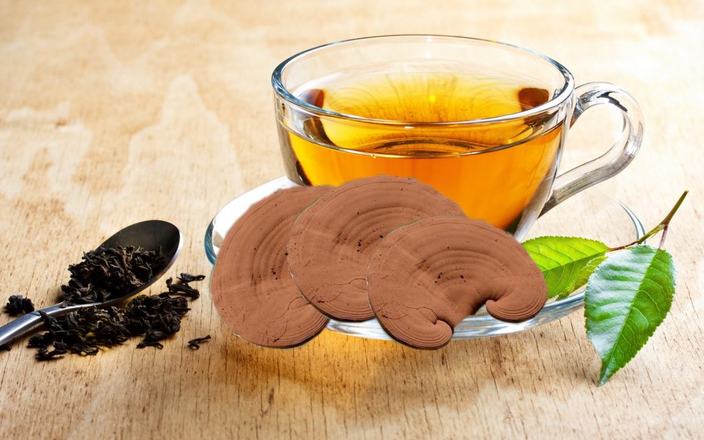 trà nấm linh chi có công dụng gì