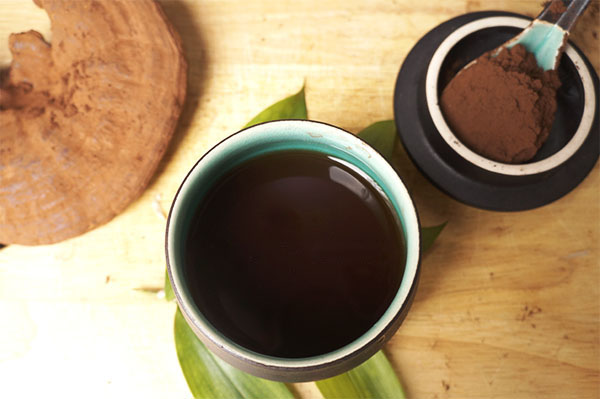 cách hãm trà nấm linh chi