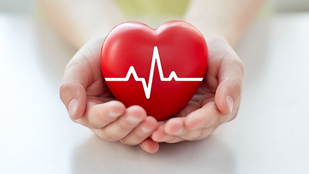 khổ sâm có thể ổn định nhịp tim hay không?