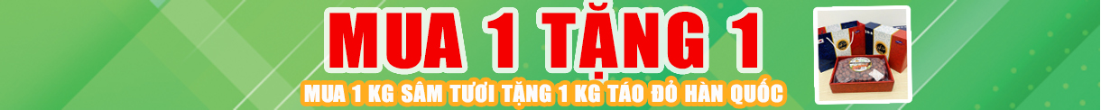 Mua 1 tặng 1