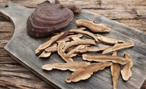 nấm linh chi nhân sâm việt hàn