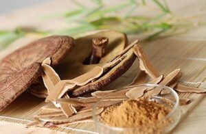 Nấm Linh chi Hàn Quốc