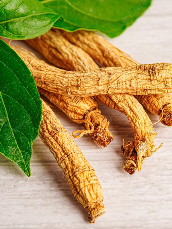 Hồng sâm Hàn Quốc là gì? Tác dụng của hồng sâm đối với đời sống sức khỏe con người