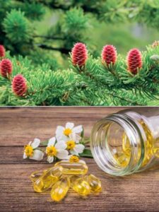 hướng dẫn sử dụng tinh dầu thông đỏ