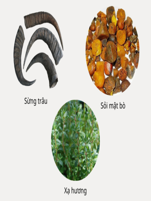 thành phần của an cung ngưu hoàng hoàn