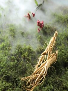 Sự tích cây nhân sâm