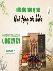 Nước uống đông trùng hạ thảo có tốt không? Lưu ý khi dùng