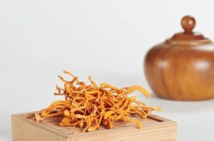 Đông trùng hạ thảo khô - công dụng