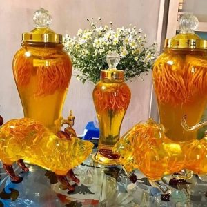 cách ngâm rượu đông trùng hạ thảo