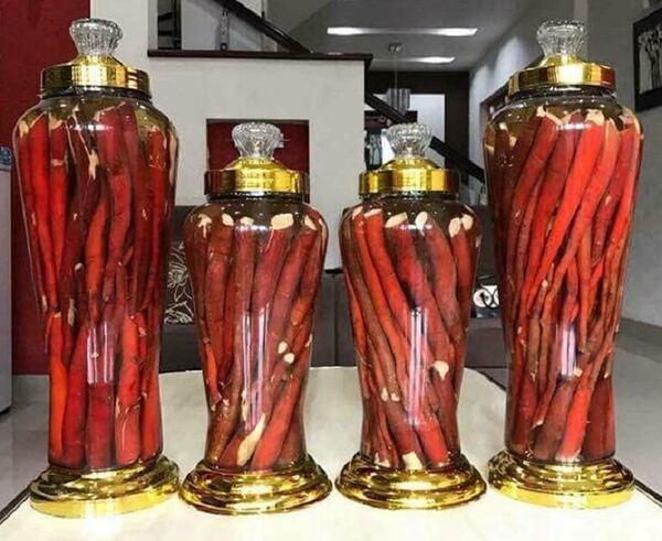 Sâm đỏ ngâm rượu