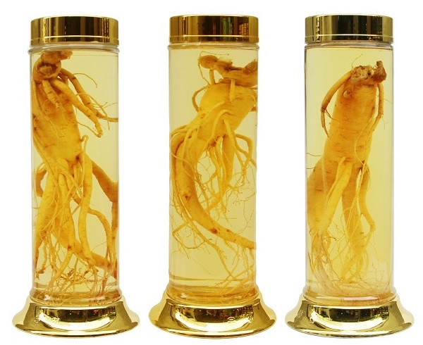 bảo quản rượu sâm hàn quốc