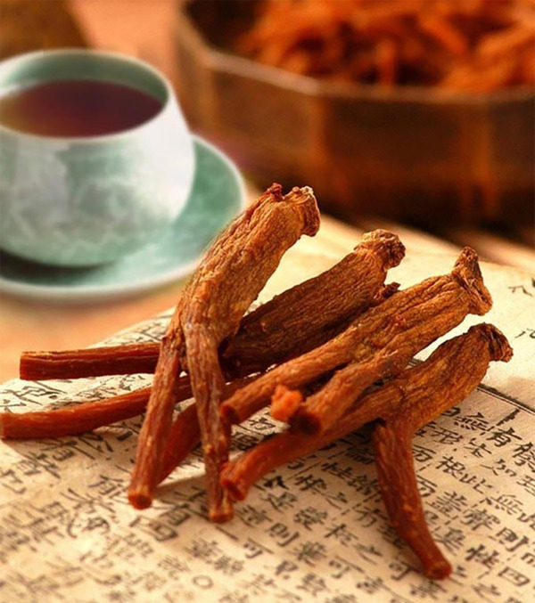 những ai không nên uống hồng sâm