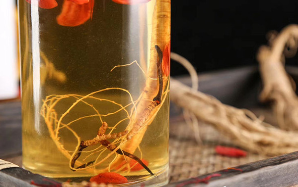 công dụng ruou-dong-trung-ha-thao