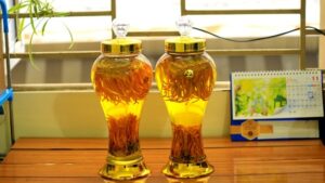 Dong-trung-ha-thao-ngam-ruou