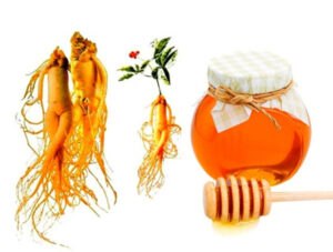Bảo quản nhân sâm ngâm mật ong trong tủ lạnh