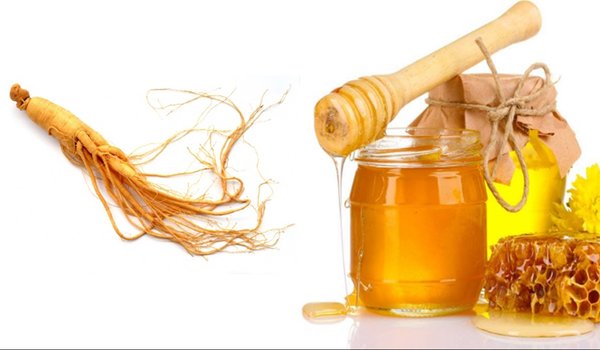 tại sao sâm ngâm mật ong không nên bảo quản trong tủ lạnh