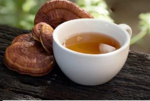 uống nhiều nấm linh chi có tốt không