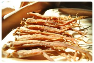 bảo quản sâm sấy khô