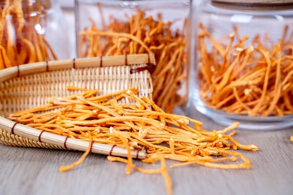 đông trùng hạ thảo khô có tác dụng gì