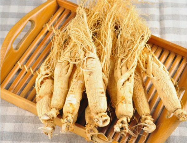 kiểm tra chất lượng sâm tươi trước khi sử dụng