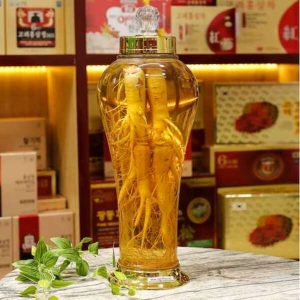 1kg sâm hàn quốc ngâm được bao nhiêu lít rượu