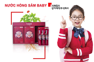 công dụng của nước hồng sâm baby sanga