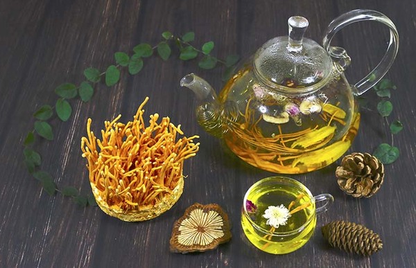 cần lưu ý gì khi chế biến đông trùng