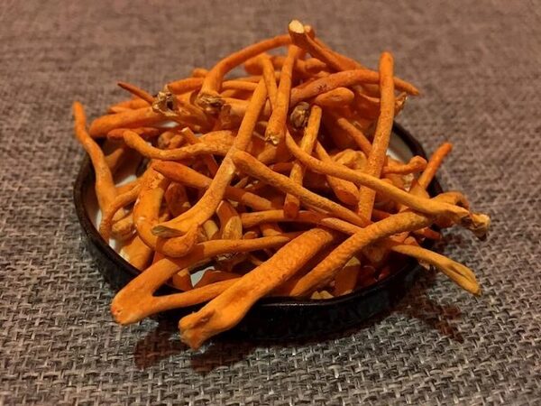 nên mua đông trùng hạ thảo ở đâu